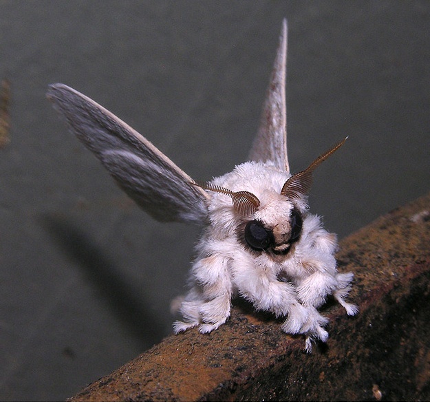 19 εκπληκτικές φωτογραφίες που δεν πρέπει να χάσετε!