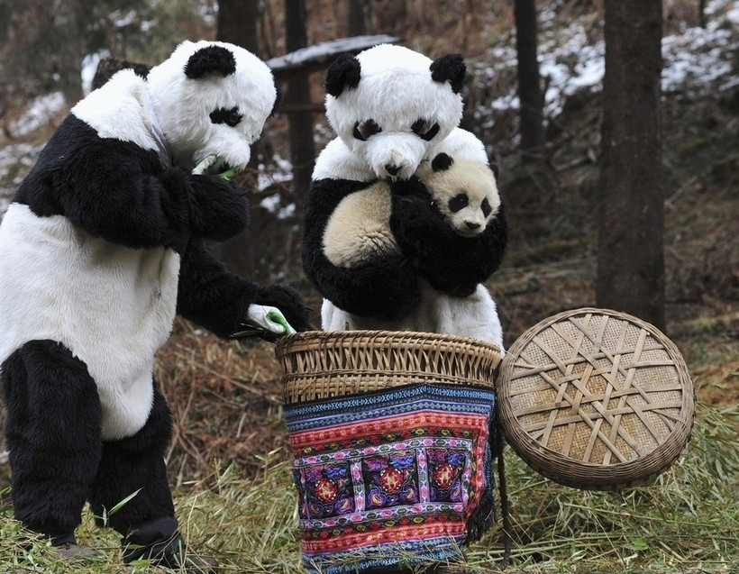 19 εκπληκτικές φωτογραφίες που δεν πρέπει να χάσετε!
