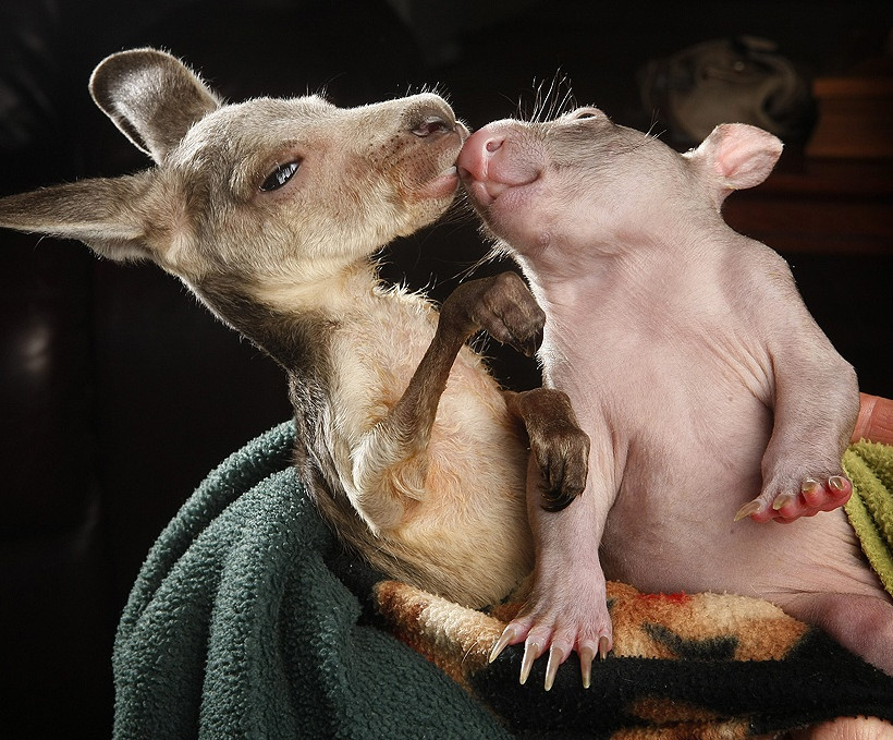 19 εκπληκτικές φωτογραφίες που δεν πρέπει να χάσετε!