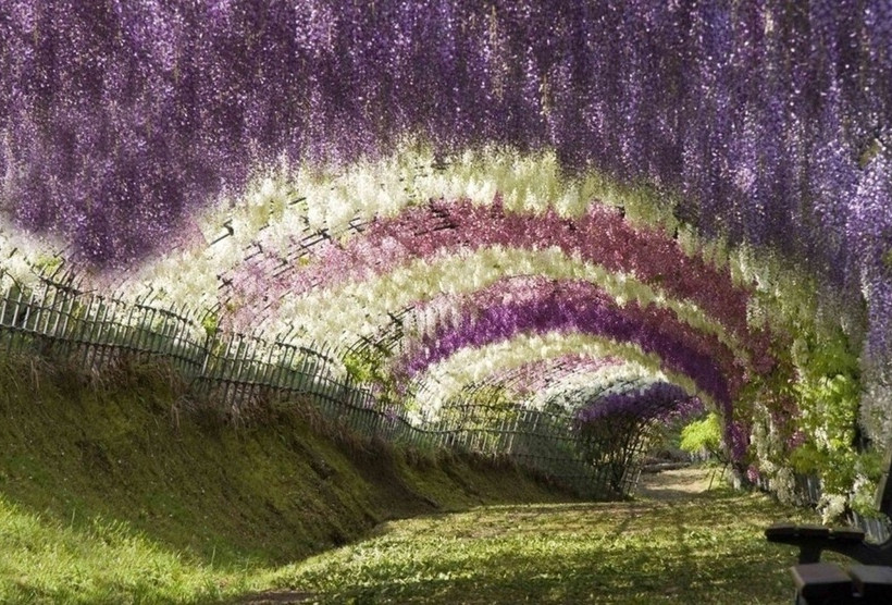 19 εκπληκτικές φωτογραφίες που δεν πρέπει να χάσετε!