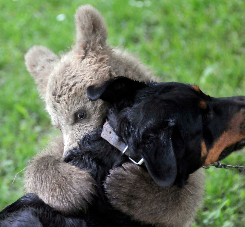19 εκπληκτικές φωτογραφίες που δεν πρέπει να χάσετε!