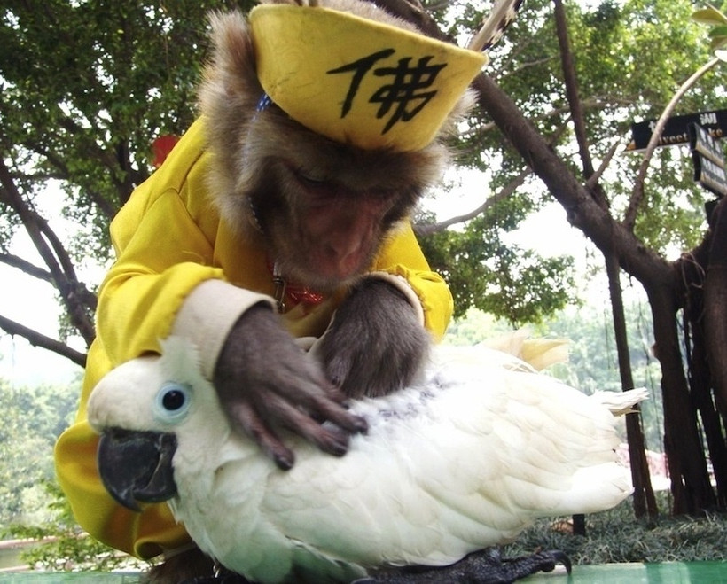 19 εκπληκτικές φωτογραφίες που δεν πρέπει να χάσετε!