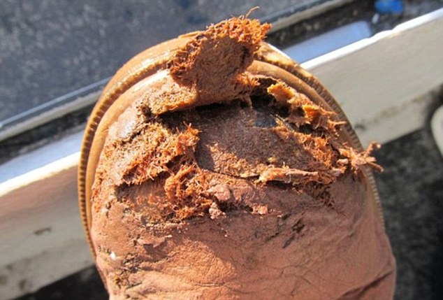 Δείτε: Στα... σαγόνια του καρχαρία για 53χρονο ψαρά