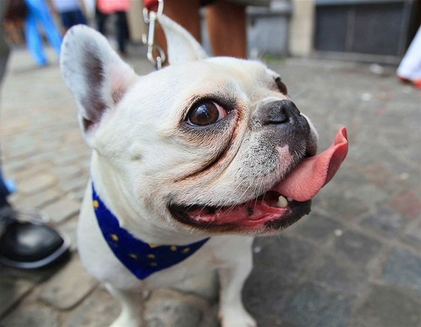 Τα ζώα του μήνα (pics) 
