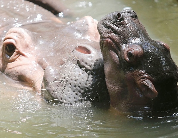 Τα ζώα του μήνα (pics) 