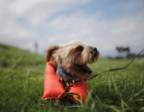 Τα ζώα του μήνα (pics) 