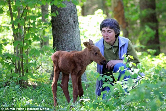 Το ελάφι που νομίζει ότι είναι σκύλος! (pics)