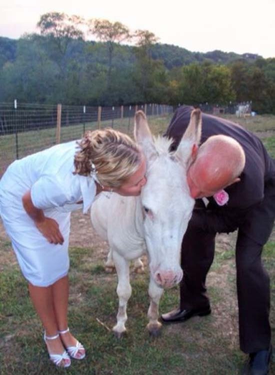 Οι πιο παράξενες και ντροπιαστικές φωτογραφίες ζευγαριών