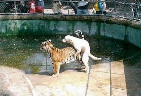 Η τελευταία φωτογραφία.. την τελευταία στιγμή (pics) 