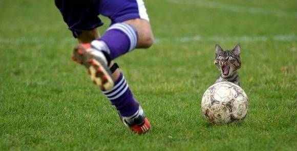 Η τελευταία φωτογραφία.. την τελευταία στιγμή (pics) 