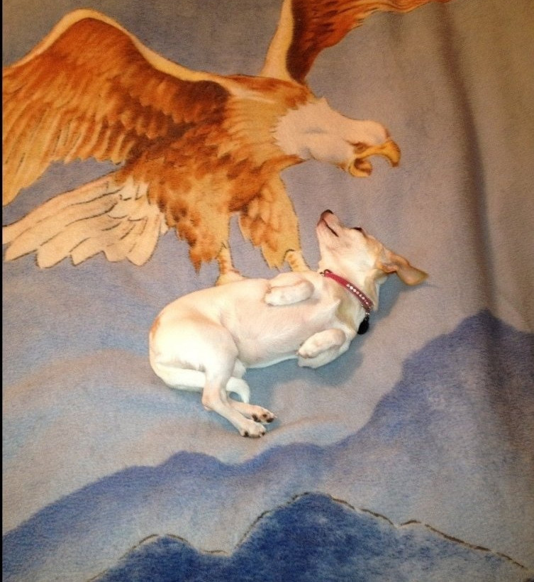 Αυτές οι φωτογραφίες τραβήχτηκαν την κατάλληλη στιγμή