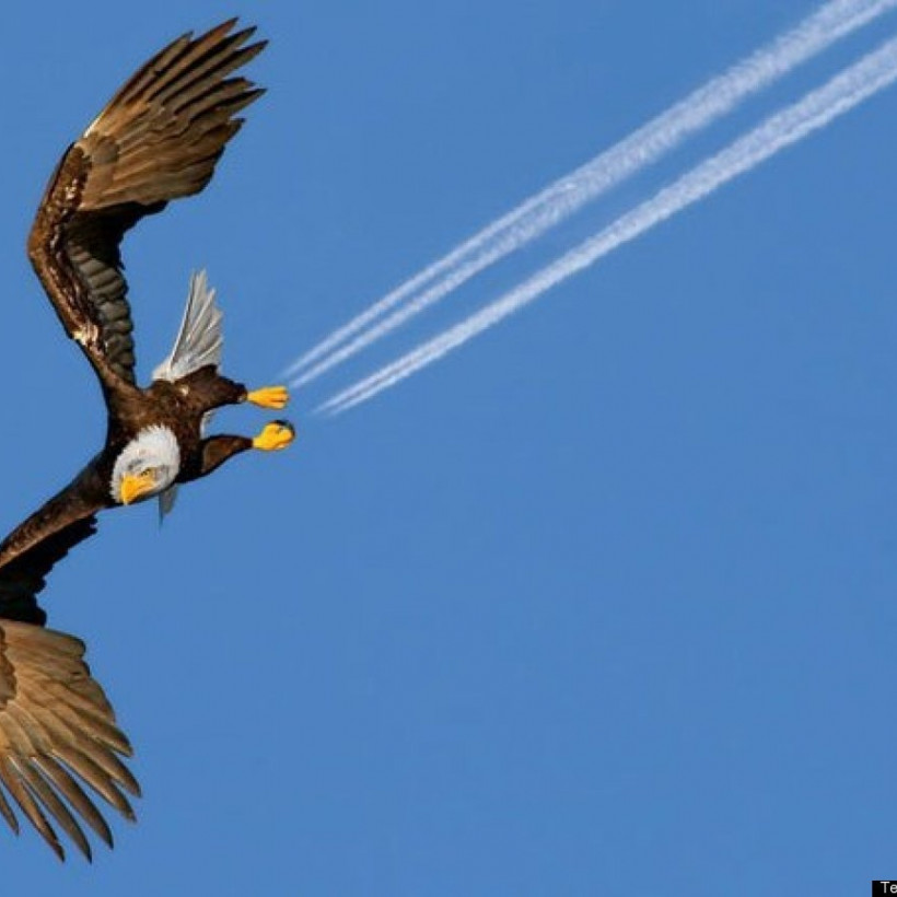 Αυτές οι φωτογραφίες τραβήχτηκαν την κατάλληλη στιγμή