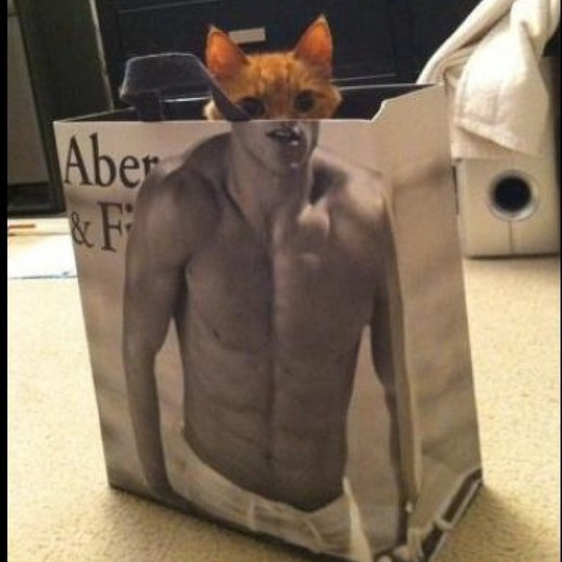 Αυτές οι φωτογραφίες τραβήχτηκαν την κατάλληλη στιγμή