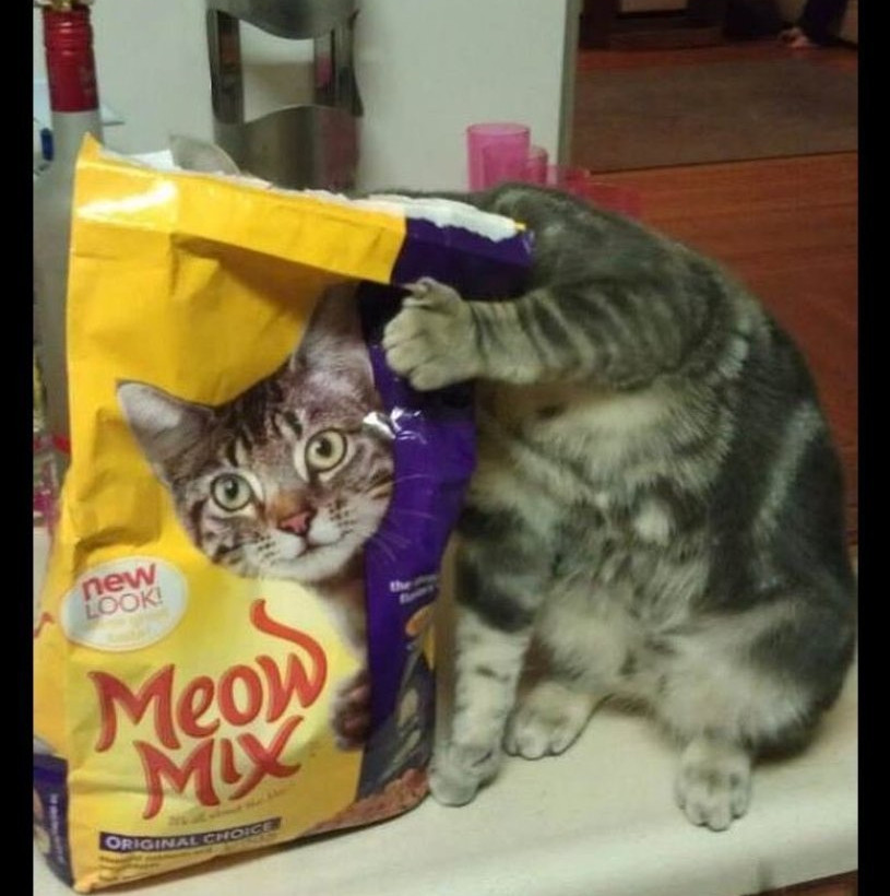 Αυτές οι φωτογραφίες τραβήχτηκαν την κατάλληλη στιγμή