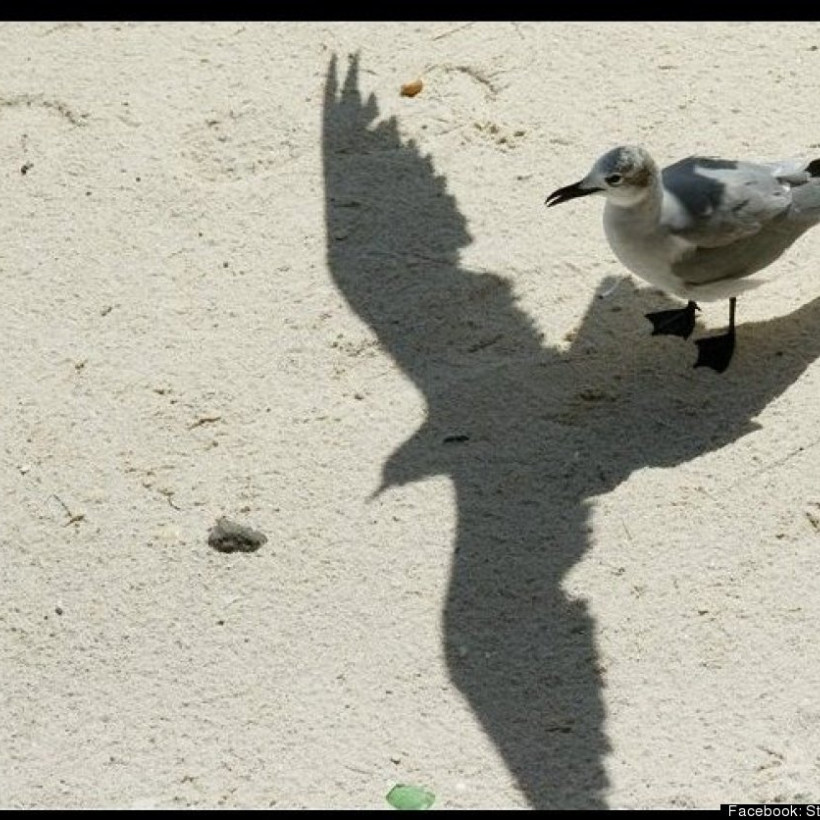 Αυτές οι φωτογραφίες τραβήχτηκαν την κατάλληλη στιγμή