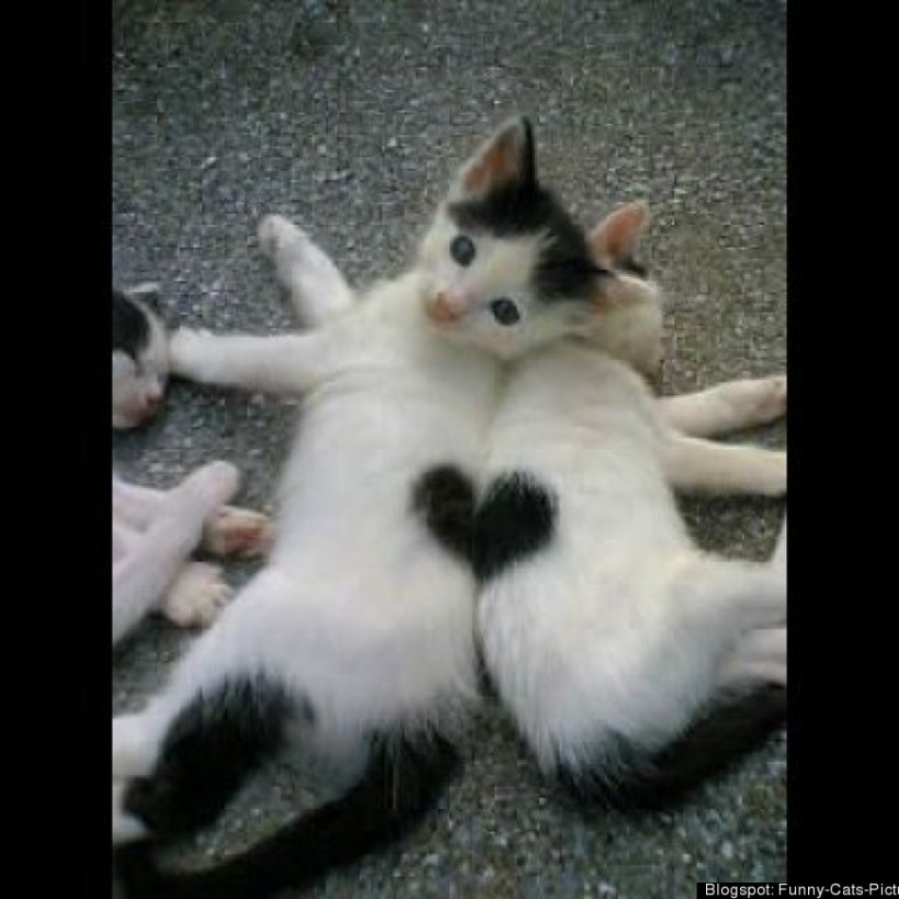 Αυτές οι φωτογραφίες τραβήχτηκαν την κατάλληλη στιγμή