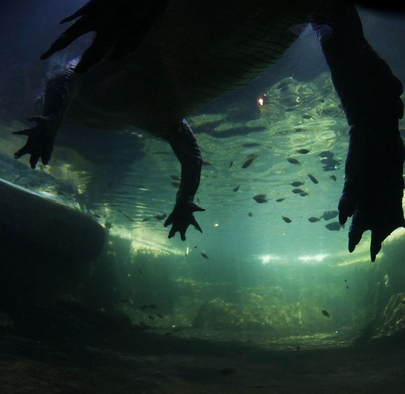 Έφαγε το πρώτο του γεύμα μετά από... 3 μήνες! (pics)