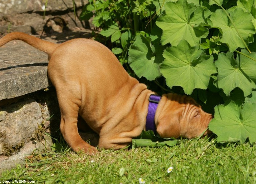 Φωτογραφίες που θα σας κάνουν να χαμογελάσετε!