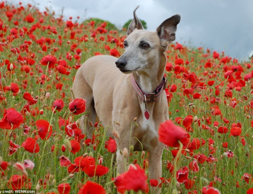 Φωτογραφίες που θα σας κάνουν να χαμογελάσετε!