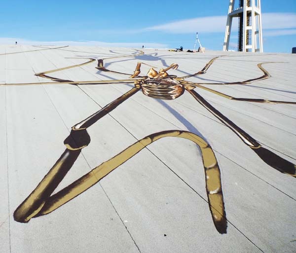 Γιγαντιαίες αράχνες στην ταράτσα κτιρίου! (pics)