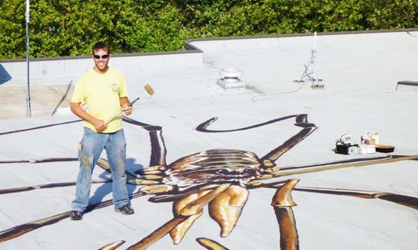 Γιγαντιαίες αράχνες στην ταράτσα κτιρίου! (pics)