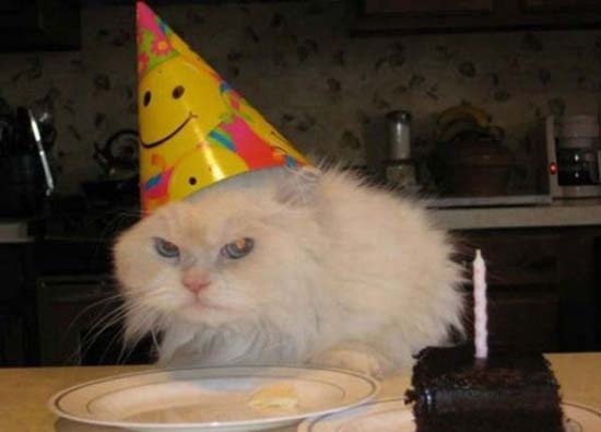 Ζώα με απίθανες γκριμάτσες (pics)