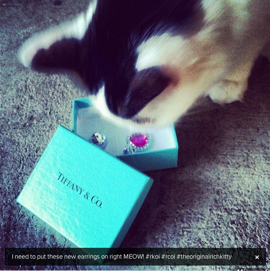 Οι πιο...πλούσιες γάτες του instagram (pics)