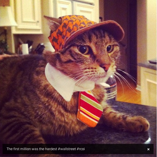 Οι πιο...πλούσιες γάτες του instagram (pics)