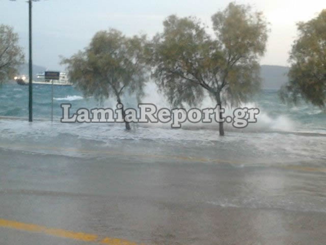 Φθιώτιδα: Καράβια βγήκαν στη στεριά  (pics)