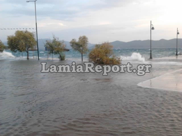 Φθιώτιδα: Καράβια βγήκαν στη στεριά  (pics)