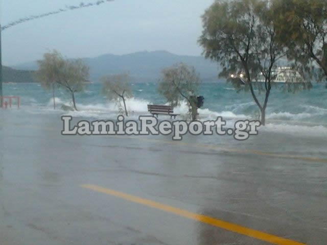 Φθιώτιδα: Καράβια βγήκαν στη στεριά  (pics)