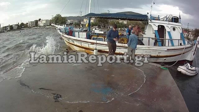 Φθιώτιδα: Καράβια βγήκαν στη στεριά  (pics)