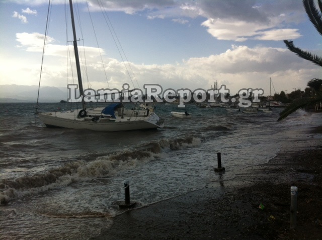 Φθιώτιδα: Καράβια βγήκαν στη στεριά  (pics)