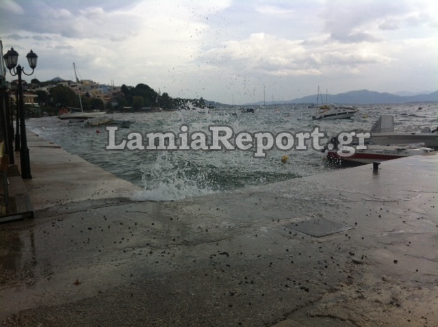 Φθιώτιδα: Καράβια βγήκαν στη στεριά  (pics)