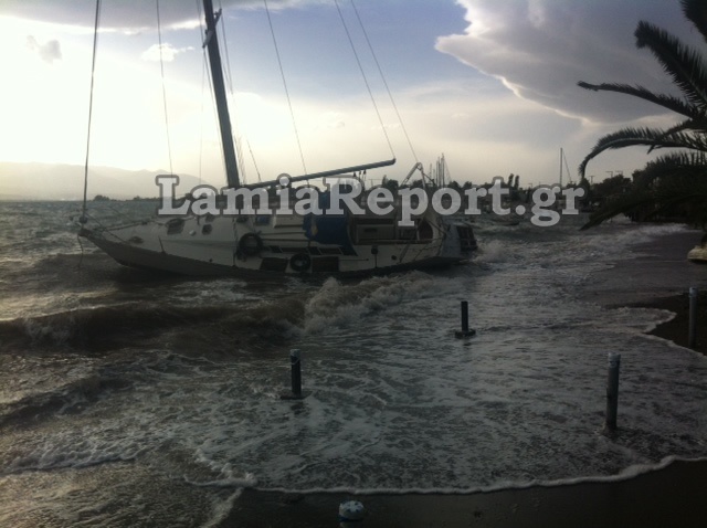 Φθιώτιδα: Καράβια βγήκαν στη στεριά  (pics)