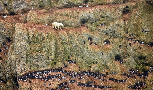 Αυτές είναι οι καλύτερες φωτογραφίες του 2012