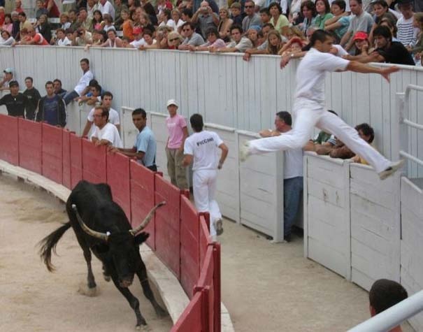 Εντυπωσιακές φωτογραφίες τραβηγμένες την κατάλληλη στιγμή! 