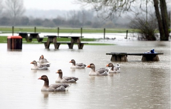 Διασχίζουν τους δρόμους με... βάρκες στη Βρετανία(pics)