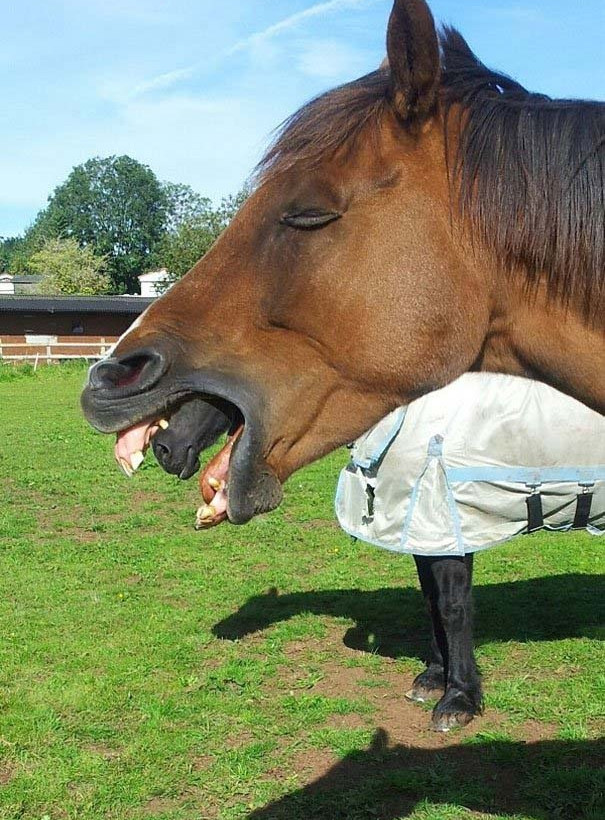 Απίθανες οφθαλμαπάτες που θα σας καθηλώσουν!