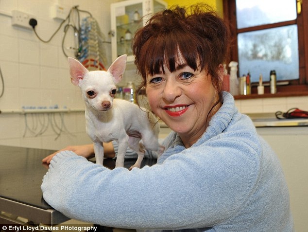 «O Θεός γιάτρεψε στο σκύλο μου», λέει μια Βρετανίδα