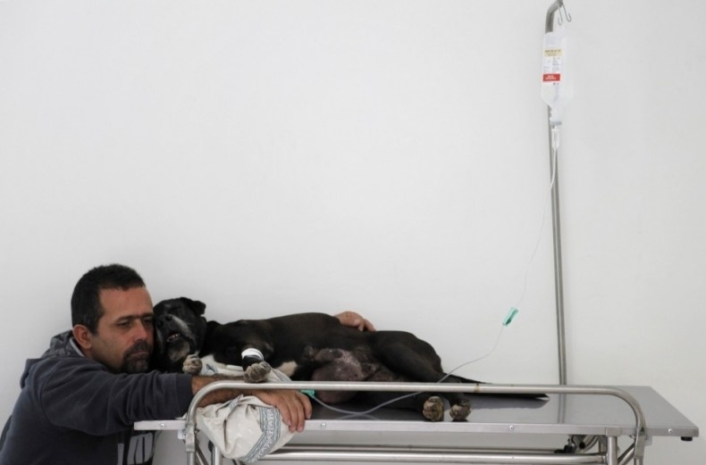 Δείτε τις 36 καλύτερες φωτογραφίες του 2012!