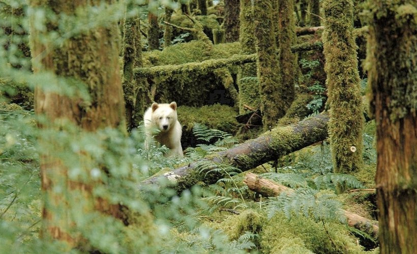 Οι 20 κορυφαίοι προορισμοί του National Geographic