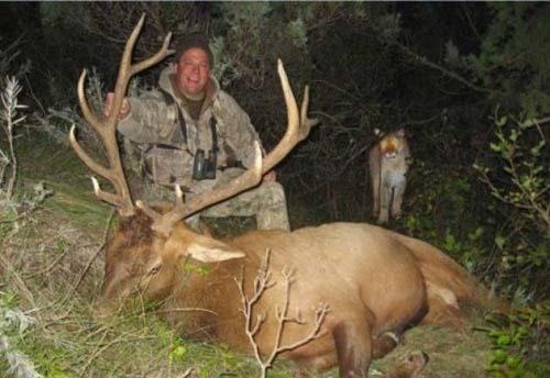 Απίθανες φωτογραφίες: Άνθρωποι που φλερτάρουν με τον θάνατο