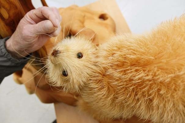 Απίστευτο: Δείτε τι έφτιαξε από ξύσματα μολυβιού!