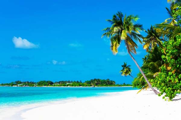 Το πανέμορφο νησί των Χριστουγέννων (pics) 