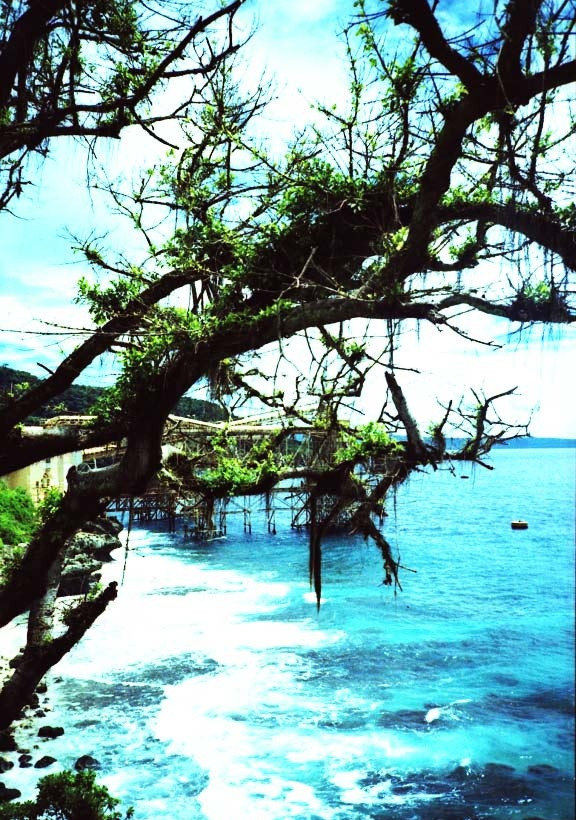 Το πανέμορφο νησί των Χριστουγέννων (pics) 