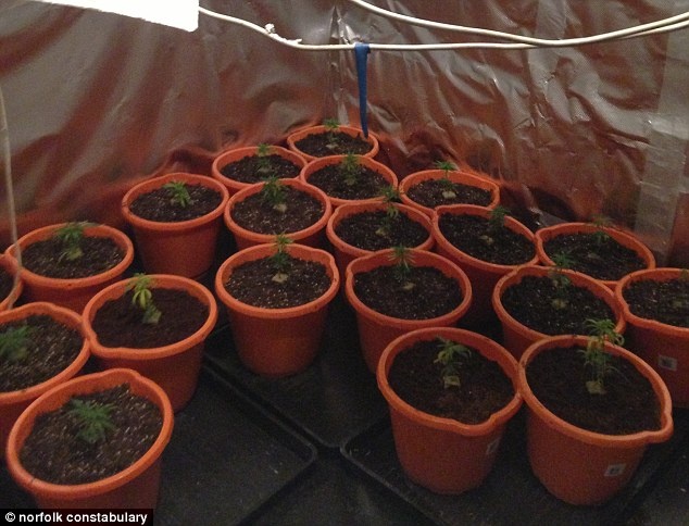 Δεν θα πιστεύετε τι βρήκαν πίσω από αυτό το ντουλάπι! (pics)