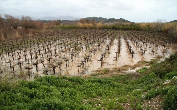 Εικόνες βιβλικής καταστροφής στην Ηλεία