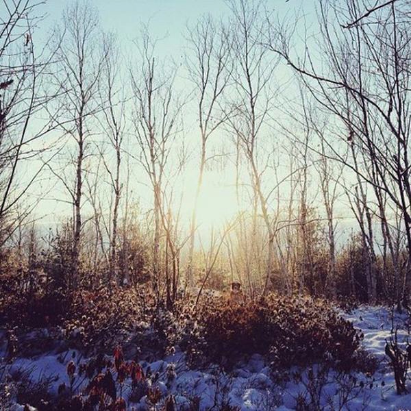 Πόσο παρατηρητικοί είστε;