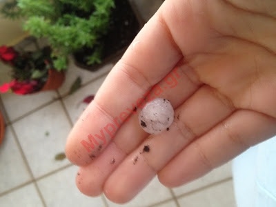 Πρωτοφανή καιρικά φαινόμενα στην Πρέβεζα (pics)